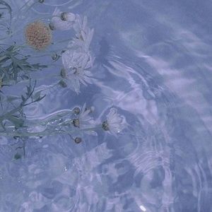 Meet your Posher, Clara